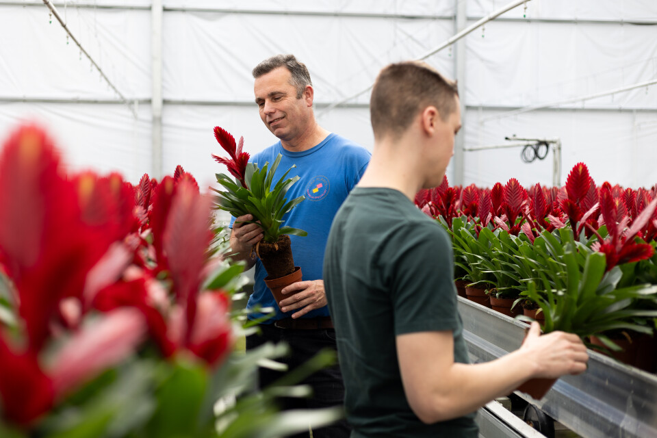 LKP innovatie nieuwe plantsoorten