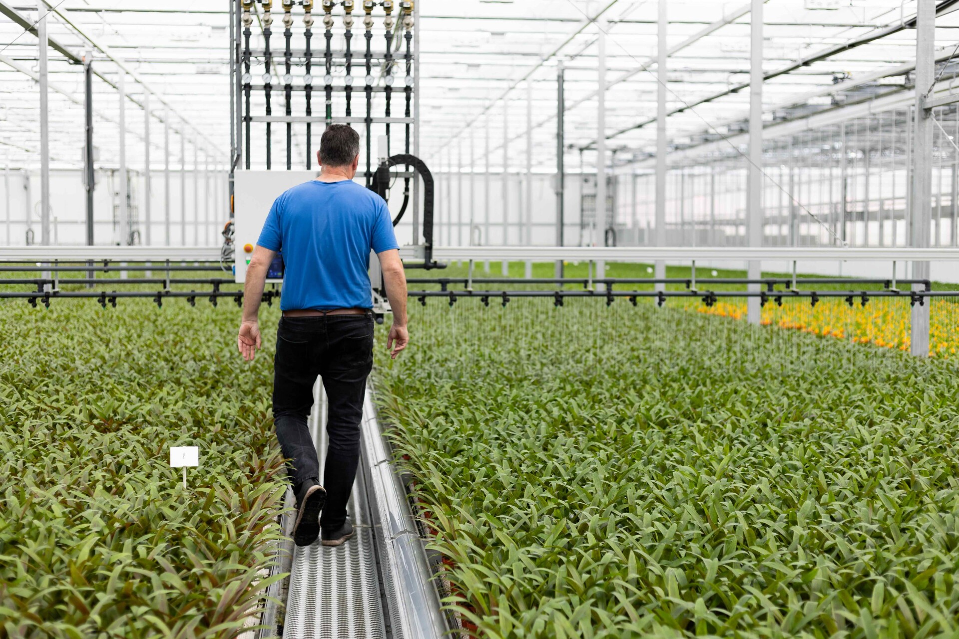 LKP watergeven geautomatiseerd